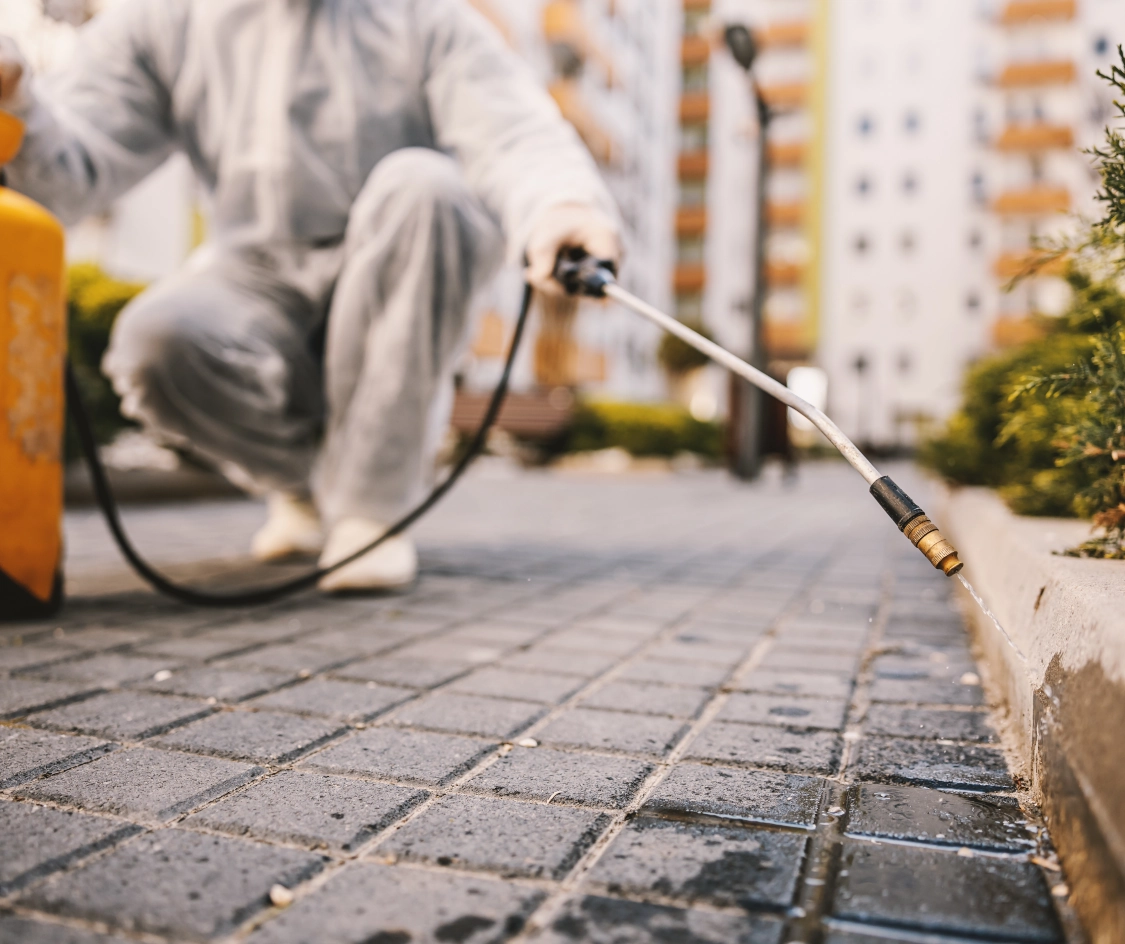 Pest control treatment outside Pest control treatment outside